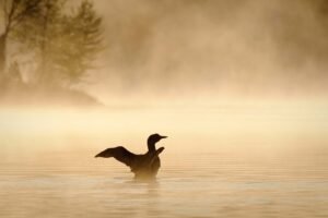 17 Best Things to Do in the Upper Peninsula, Michigan (2025 Guide)