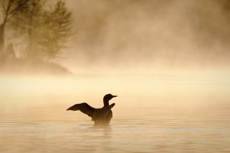 17 Best Things to Do in the Upper Peninsula, Michigan (2025 Guide)