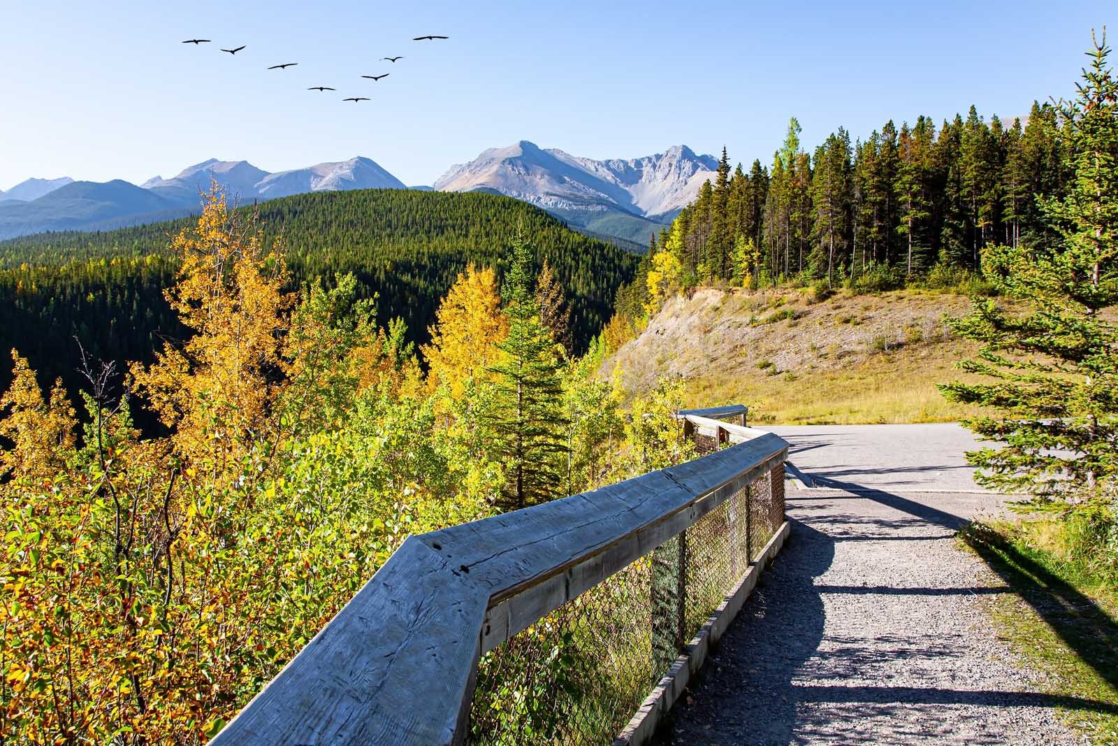 The path that leads to Miette Hot Springs, surrounded by the peaks of the Rocky Mountains.