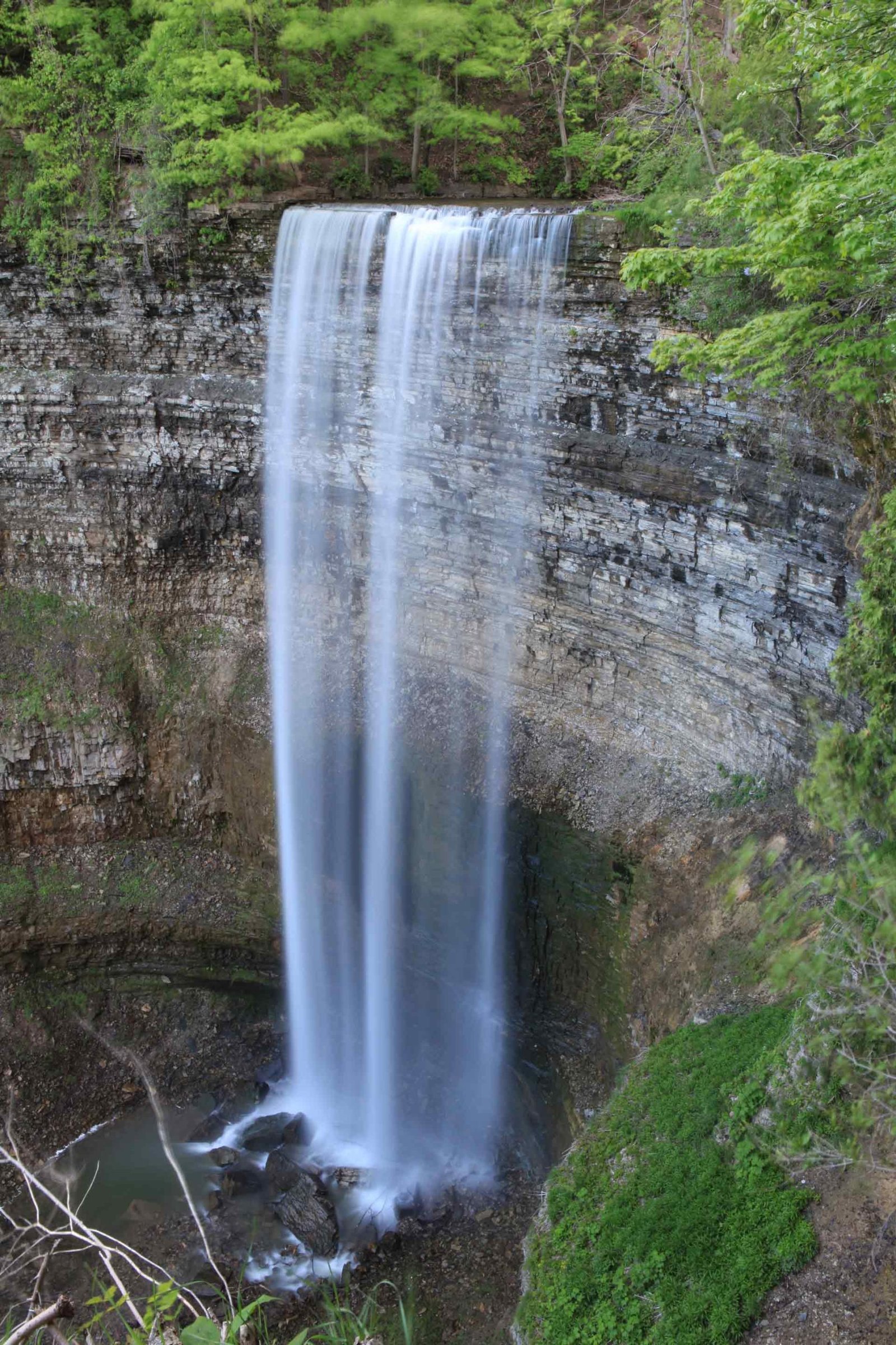 The mighty Tews falls hamilton