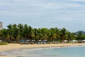 Palm fringed beach in the Caribbean