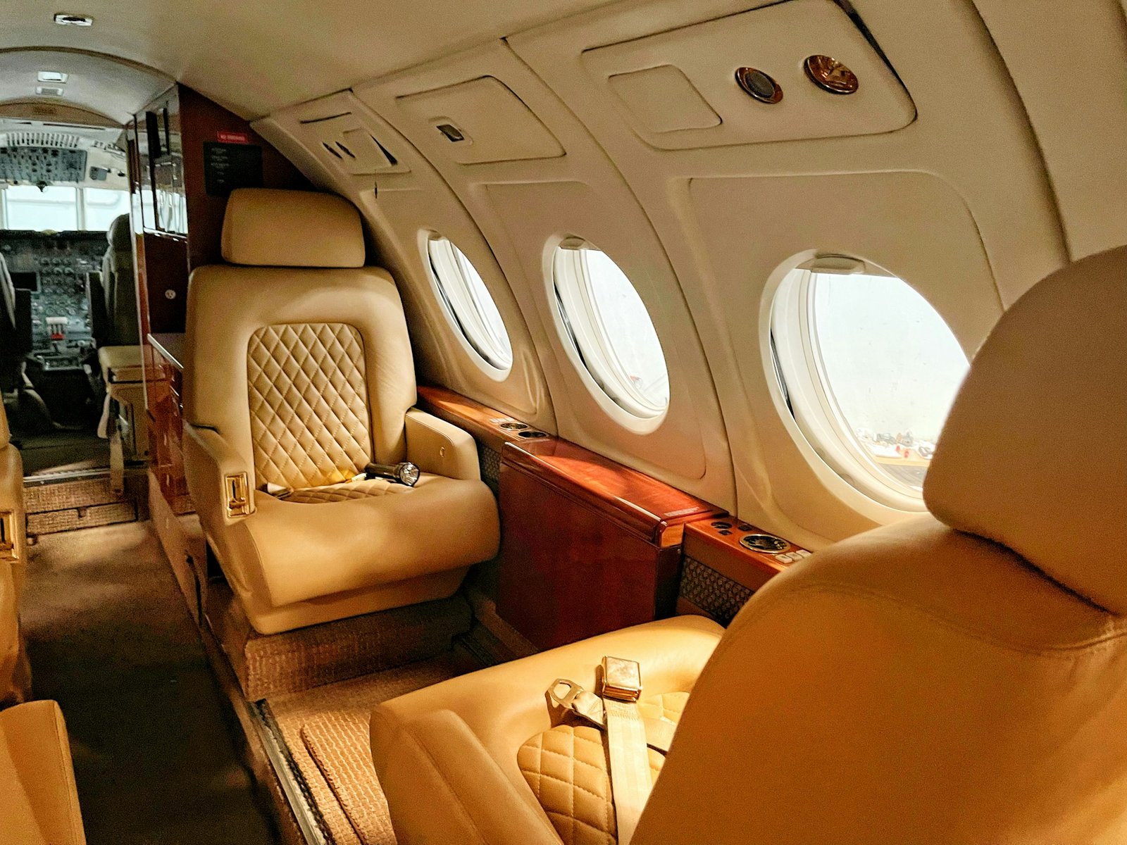Leather interior and seats of a private jet