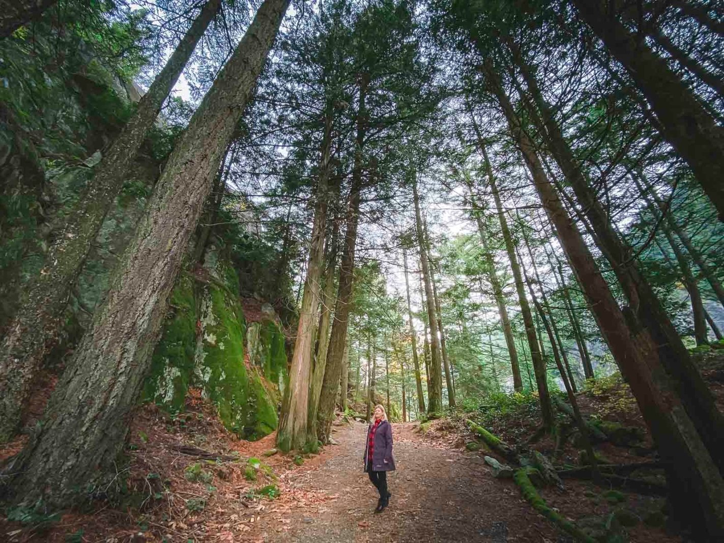 Whistler BC Hiking Trails
